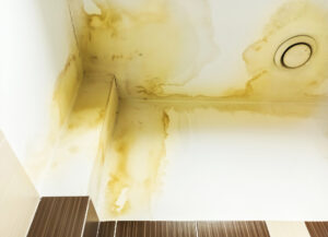 Water Damage Can Create Health Risks Within 48 Hours