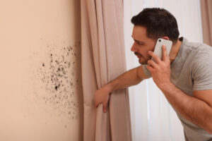 Health Risks You Need to Know About Mold Damage, Exposure, and Necessary Removal Tactics