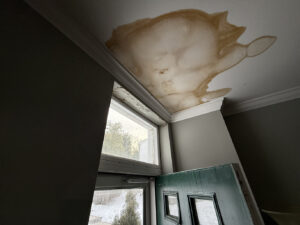 Emergency Preparedness for Homeowners: Steps to take to prevent or lessen damage during disasters