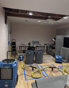 Green Restoration Practices: Sustainable methods and materials used in the restoration industry 